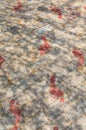 Red Footprints on Sidewalk Royalty Free Stock Photo