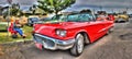 Red Ford Thunderbird Royalty Free Stock Photo