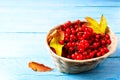 Red forest berries in wicker basket on blue wooden background Royalty Free Stock Photo