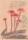 Red forest mushrooms drawing sketch pencils