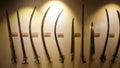 Red Fort Museum of Arms and Weapons, New Delhi, Jul 21, 2018: Arms and Weapons Showcased here in Galleries includes Arrows, Swords