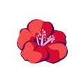 Red fowers isolated vector illustration Royalty Free Stock Photo