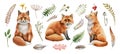 Red fox animal set. Watercolor illustration. Wild cute fox sitting and forest herbs collection. Wildlife furry animal Royalty Free Stock Photo