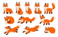 Red fox characters. Cartoon cute foxes in different poses, standing, sleeping, jumping, sitting. Forest wild animal Royalty Free Stock Photo