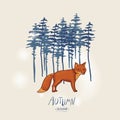 Red fox and coniferous forest. Autumn vector vintage hand drawn greeting card Royalty Free Stock Photo