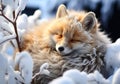 Red fox curled up sleeping in winter landscape with falling snow. AI generated