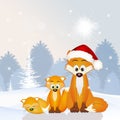 Red fox family at Christmas hat Royalty Free Stock Photo