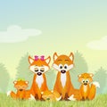 Red fox family in the forest Royalty Free Stock Photo