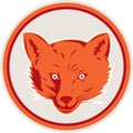 Red Fox Head Front Circle Retro Royalty Free Stock Photo