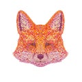 Red Fox Head Front View Pointillist Impressionist Pop Art Style Royalty Free Stock Photo