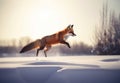 Red Fox Hunting on a Snow . AI generated Illustration Royalty Free Stock Photo