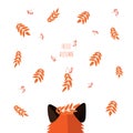 Red Fox looks at falling berries and leaves of mountain ash. leaf fall in the forest. text hello autumn