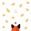 Red Fox looks at falling oak leaves. autumn forest. text hello autumn