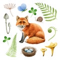 Red fox natural forest element set. Watercolor illustration. Woodland wild animal, fern, nest, mushroom, moth collection Royalty Free Stock Photo