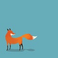 Red Fox on simple background