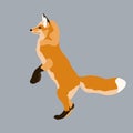 Red fox vector illustration style Flat Royalty Free Stock Photo