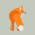 Red fox vector illustration style Flat side Royalty Free Stock Photo