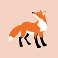 Red fox vector illustration style Flat Royalty Free Stock Photo