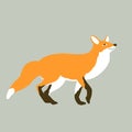 Red fox vector style Flat profile Royalty Free Stock Photo
