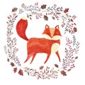 The red fox