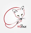 Red fox