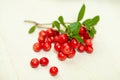 Red foxberry or cowberry on white wooden background