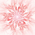 Red fractal flower Royalty Free Stock Photo