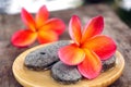 Red frangipani flower with stones