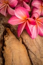 Red frangipani placed on a wooden floor.