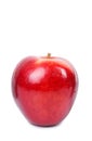 Red fresh apple Royalty Free Stock Photo