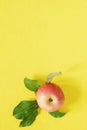 Red fresh apple on a yellow background. Close-up Royalty Free Stock Photo