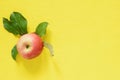 Red fresh apple on a yellow background. Close-up Royalty Free Stock Photo