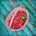 Red fresh cherries Royalty Free Stock Photo