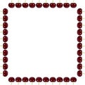 Red fresh cherry fruit background, frame and border, empty space Royalty Free Stock Photo