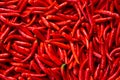 Red fresh chilli pile without calyx and stem