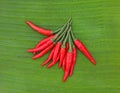 Red fresh chillies on banana leaves against white background Royalty Free Stock Photo