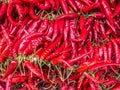 Red Fresh Chillies on the market Royalty Free Stock Photo