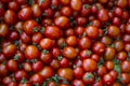 A group of fresh tiny tomatoes