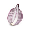 Red onion slice isolated on white background Royalty Free Stock Photo