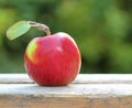 Red, fresh and organic apple Royalty Free Stock Photo