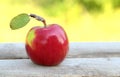 Red, fresh and organic apple Royalty Free Stock Photo