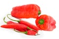 Red fresh peppers Royalty Free Stock Photo