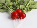 Red fresh radish, ingredient for a healthy salad Royalty Free Stock Photo