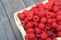 Red fresh raspberries basket on brown rustic wood background Royalty Free Stock Photo