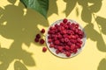 Red fresh raspberries on bright yellow background with shadows of tree branches Royalty Free Stock Photo