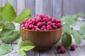 Red fresh raspberries on brown rustic wood background. Bowl with natural ripe organic berries with peduncles, green leaves