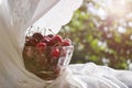 Red fresh ripe cherry with water drops in transparent cut bowl, wrapped in a curtain on summer background of trees Royalty Free Stock Photo