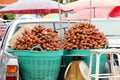 Red fresh salacca, zalacca, salak fruit in basket. Royalty Free Stock Photo