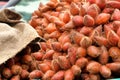 Red fresh salacca, zalacca, salak fruit in basket Royalty Free Stock Photo
