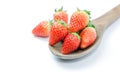 Red fresh strawberies Royalty Free Stock Photo